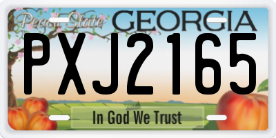 GA license plate PXJ2165