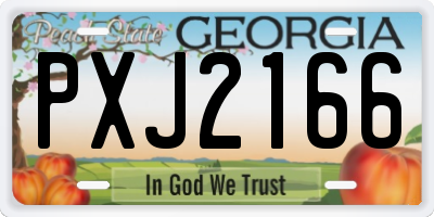 GA license plate PXJ2166