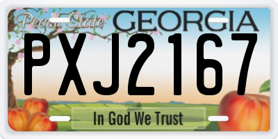 GA license plate PXJ2167