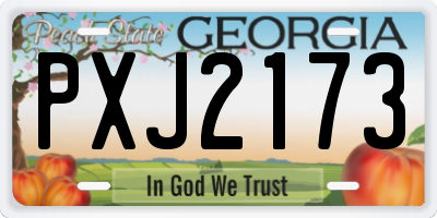 GA license plate PXJ2173