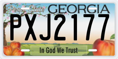 GA license plate PXJ2177
