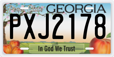 GA license plate PXJ2178