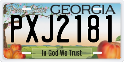 GA license plate PXJ2181