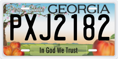 GA license plate PXJ2182