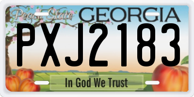 GA license plate PXJ2183