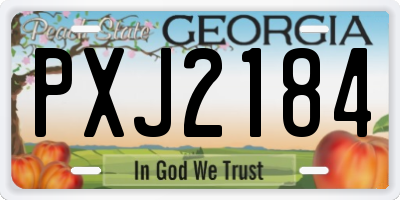 GA license plate PXJ2184