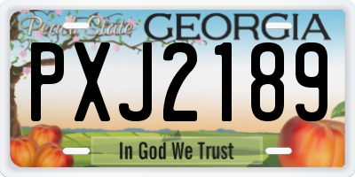 GA license plate PXJ2189