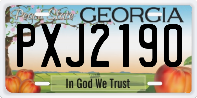 GA license plate PXJ2190