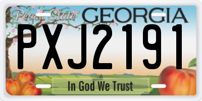 GA license plate PXJ2191