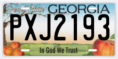 GA license plate PXJ2193