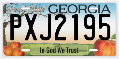 GA license plate PXJ2195