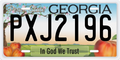 GA license plate PXJ2196
