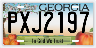 GA license plate PXJ2197