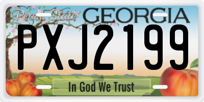 GA license plate PXJ2199
