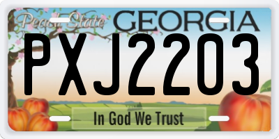 GA license plate PXJ2203