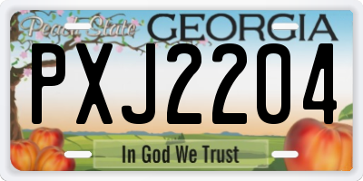 GA license plate PXJ2204