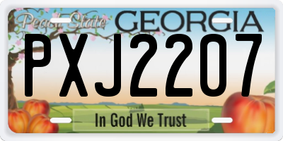 GA license plate PXJ2207
