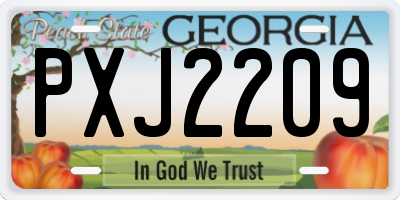 GA license plate PXJ2209