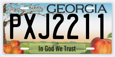 GA license plate PXJ2211