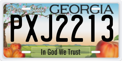 GA license plate PXJ2213