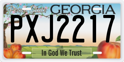 GA license plate PXJ2217