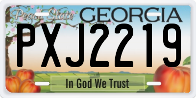 GA license plate PXJ2219