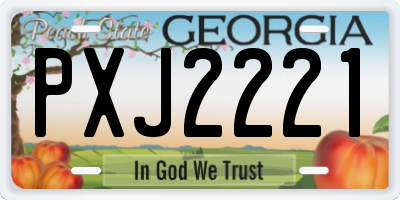 GA license plate PXJ2221
