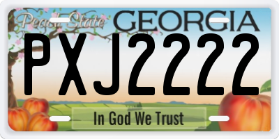 GA license plate PXJ2222