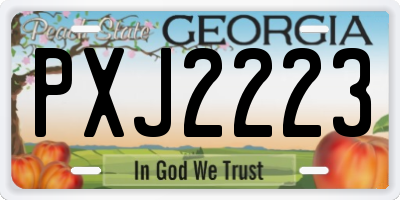 GA license plate PXJ2223
