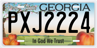 GA license plate PXJ2224
