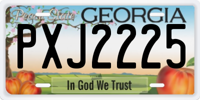 GA license plate PXJ2225