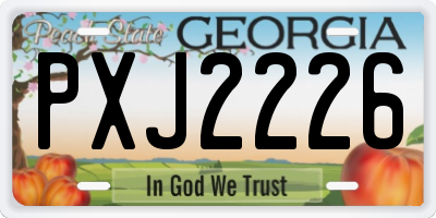 GA license plate PXJ2226
