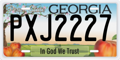GA license plate PXJ2227