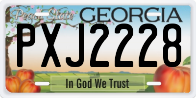 GA license plate PXJ2228