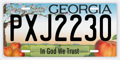 GA license plate PXJ2230