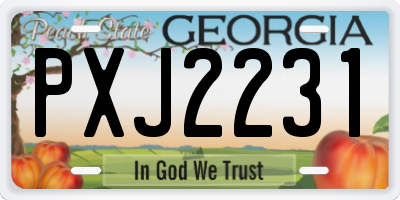 GA license plate PXJ2231