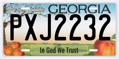 GA license plate PXJ2232