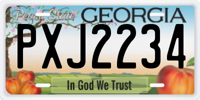 GA license plate PXJ2234