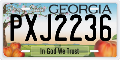 GA license plate PXJ2236
