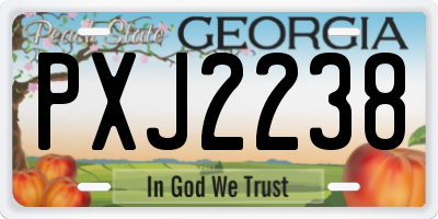 GA license plate PXJ2238