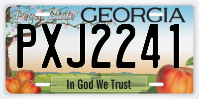 GA license plate PXJ2241