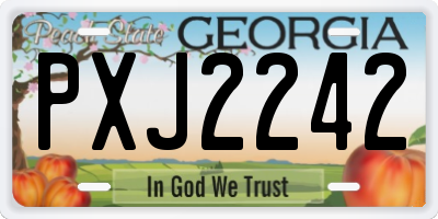GA license plate PXJ2242
