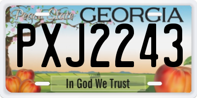 GA license plate PXJ2243