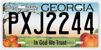 GA license plate PXJ2244