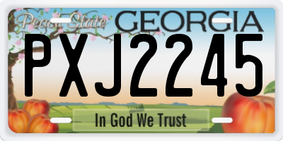 GA license plate PXJ2245