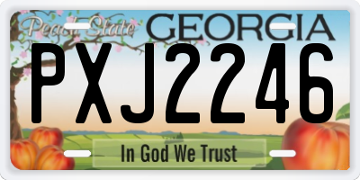 GA license plate PXJ2246
