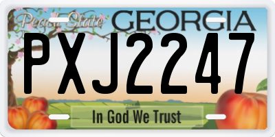 GA license plate PXJ2247