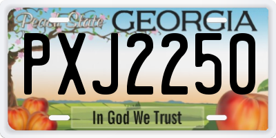 GA license plate PXJ2250