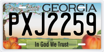 GA license plate PXJ2259