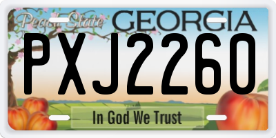 GA license plate PXJ2260
